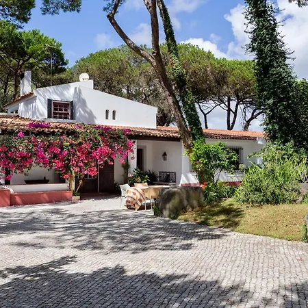 Joivy Quinta Do Matinho Quente Chelreira