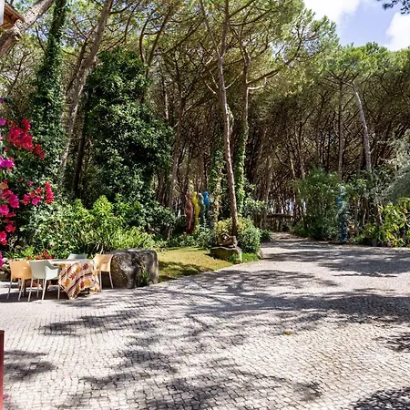 Joivy Quinta Do Matinho Quente * Chelreira