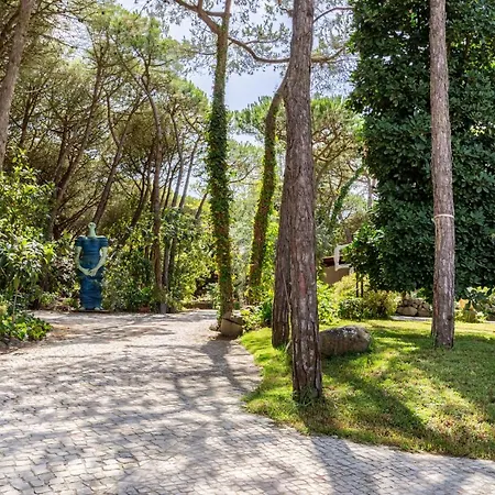 Joivy Quinta Do Matinho Quente 別荘