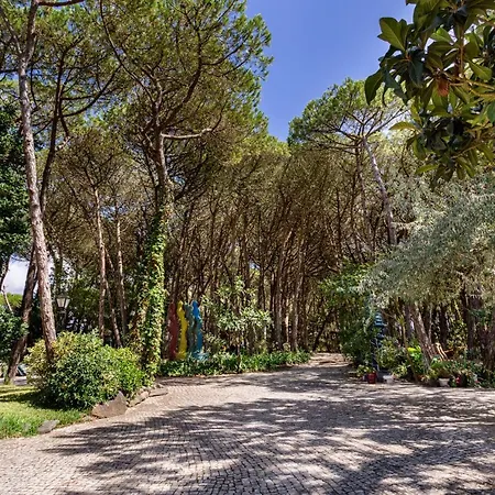 Joivy Quinta Do Matinho Quente 別荘 *